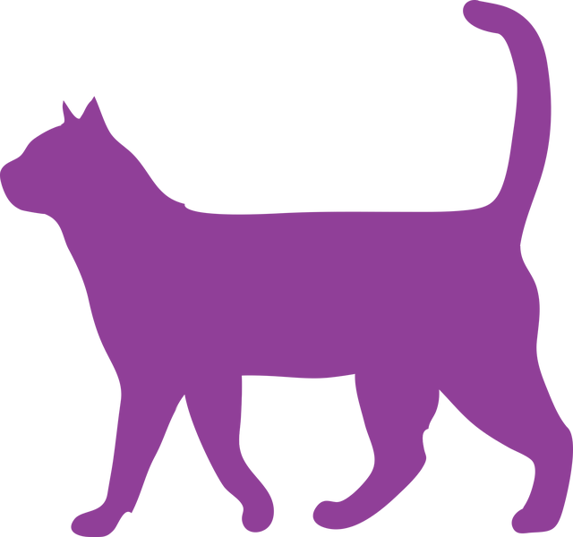 gato
