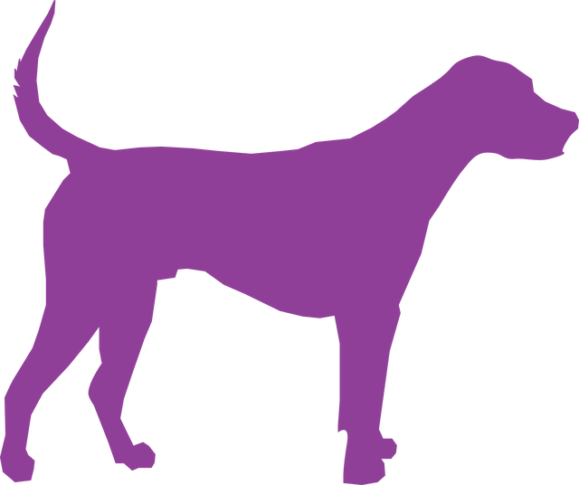 Perro